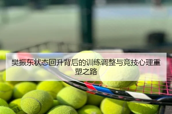 樊振东状态回升背后的训练调整与竞技心理重塑之路